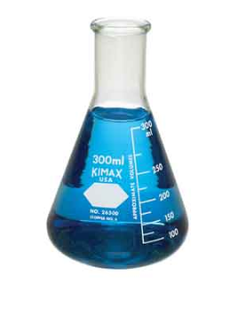 MATRAZ ERLENMEYER 300ML